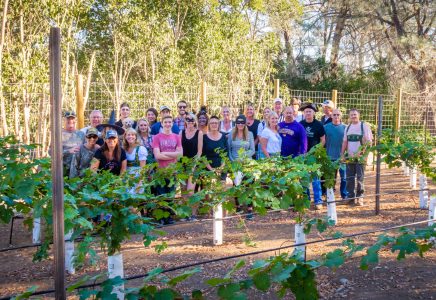 2016 Bottling Party